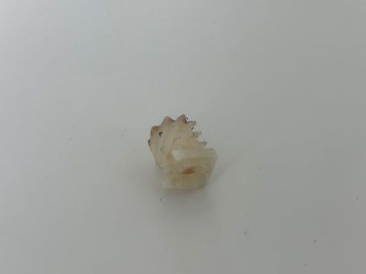 Chamberlain ML1000 Zahnrad Ritzel Antriebssnabe Antriebsscheibe Schneckengetrie.