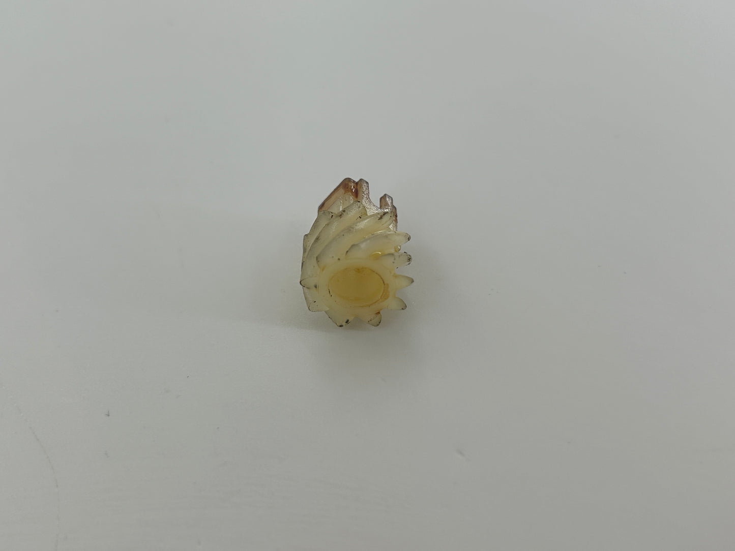 Sesam 200 Zahnrad Zahnkranz Ritzel Kettenritzel Antriebsritzel Antriebssnabe Antriebsscheibe Adapteraufsatz Schneckengetriebe Schneckenrad