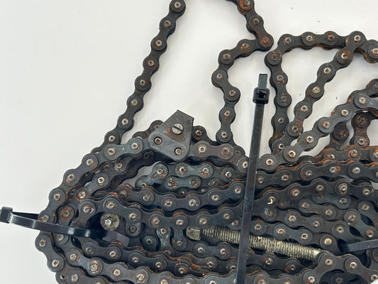 Graf TD500 Kette Steuerkette Mittnehmerkette Transportkette Antriebskette Förderkette Zahnkette Zugkette